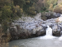 cantara gurne23122011 076